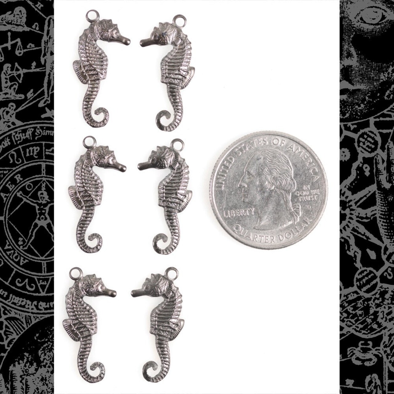 Gunmetal Finish Brass Small Flat Sea Horse Charms- Set of Six - G-C156
